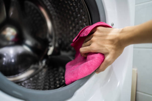 Bristol, TN Mold Removal Company