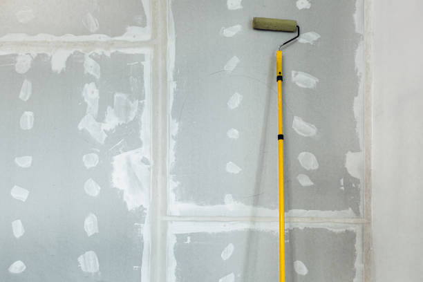 Best Industrial Mold Remediation  in Bristol, TN