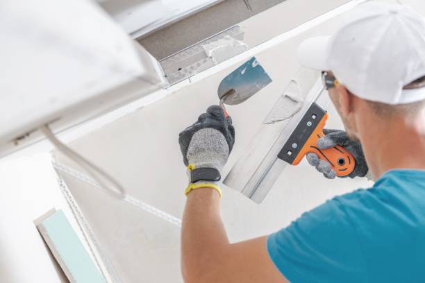 Best Real Estate Mold Inspection  in Bristol, TN